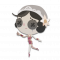 涂鸦 舞女-萌版 图标.png