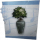 归宿 茉莉瓶 图标.png