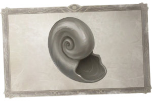 深渊的呼唤IX活动剧情文本 收藏图鉴 没有纹理的贝类.png