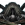 蜘蛛头像.png