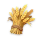 【金穗田园】六级种子.png