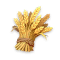 【金穗田园】六级种子.png