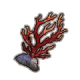 渔女独特品质随身物品 遗蜕.png