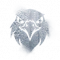 林中童话模式 身份 “金雕”.png