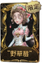 医生稀世品质时装 “野草莓”.png
