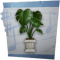 归宿 方形绿色盆栽 图标.png