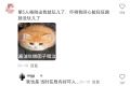 2025年5月5日 (一) 12:05版本的缩略图