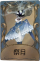 时空之影独特品质时装 祭月.png
