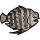 “Turbot”.png