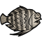 “Turbot”.png