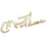 涂鸦 “台球手”-签名 图标.png
