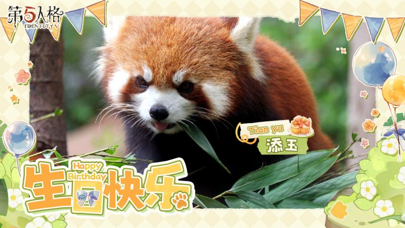 文件:20230618 2023年小熊猫添玉生日.jpg