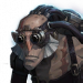 疯眼头像2.png