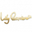 涂鸦 拉拉队员-签名 图标.png