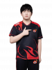 Lconfid.png