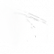 “愚人金”外在特质1.png