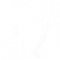 勘探员外在特质4.png