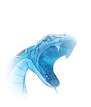 锦簇之魂.png