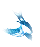 同乐之魂.png