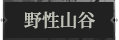 野性山谷1.png