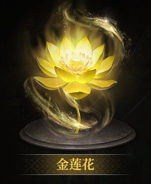 金莲花立绘.png