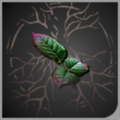 头像珍奇药草.png
