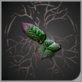头像珍奇药草.png