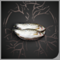 头像鲜美的鱼.png