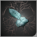 头像止血药草.png