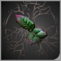 头像草药.png