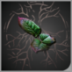 头像草药.png