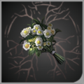 头像白花花束.png