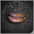 头像珍贵的鱼.png