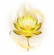 金莲花11立绘.png