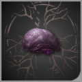 头像普通光滑的脑子.png