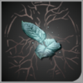 头像疗伤药草.png