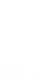 支援属性.png