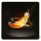 头像凤凰羽.png