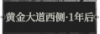 黄金大道西侧·1年后1.png