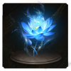 头像青莲花.png