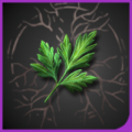 头像珍贵药草.png