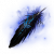 渡鸦之羽.png