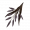 拉答果实.png