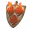 火龙徽护符＋２.png