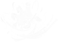 诺亚-定点障碍清除.png