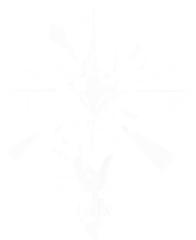 诺亚-战时能量整备.png