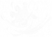 诺亚-定点障碍清除.png