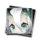 1007005 icon.png