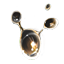 Clam Gall.png
