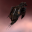 16242图标.png
